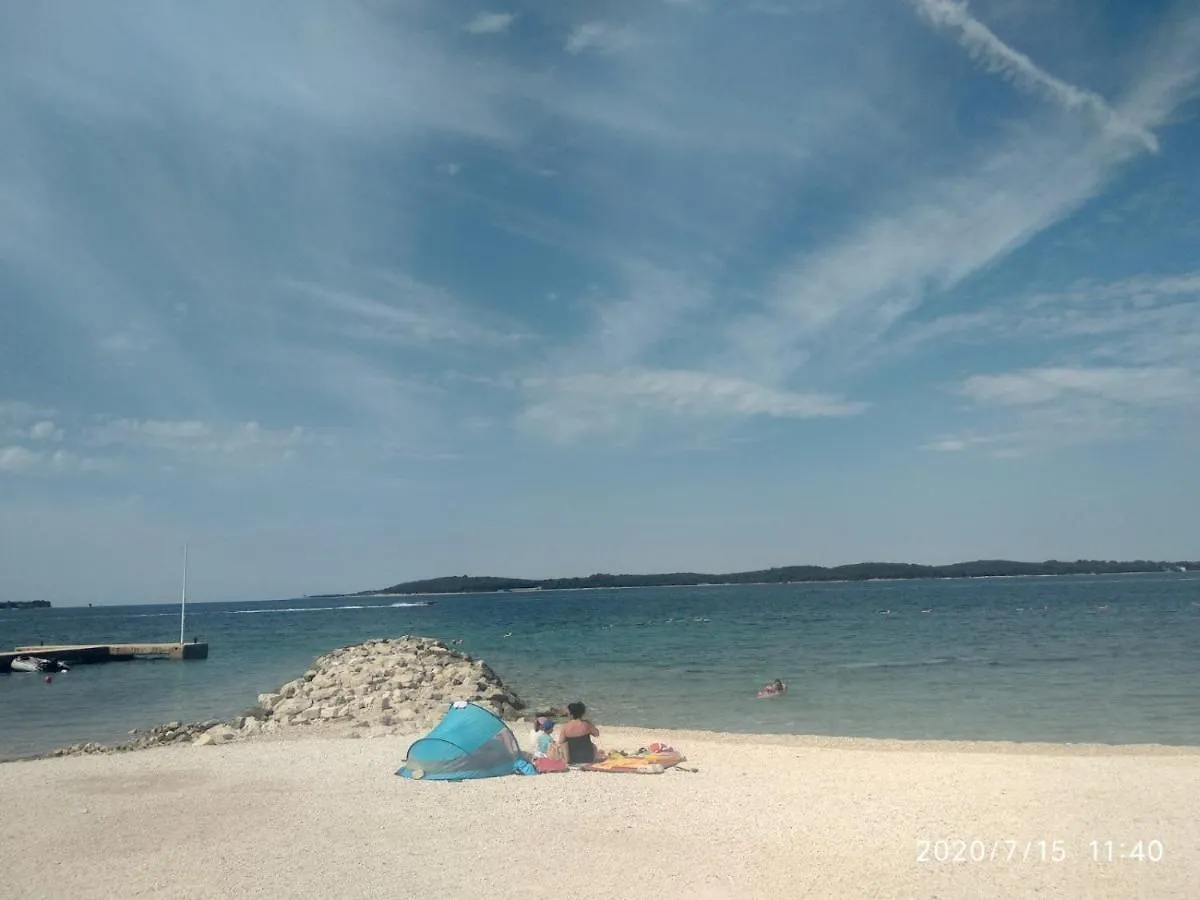 White Pearl With Free Ev Ch-Station Croatia